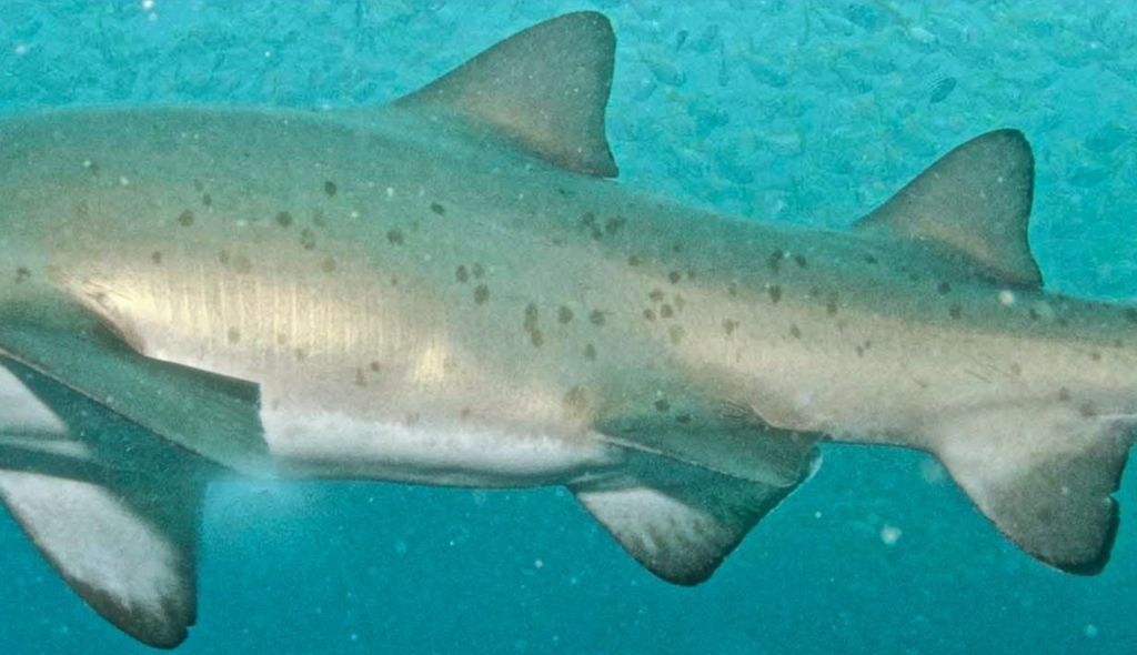 66060efd-1f9f-44ee-bd2a-9c79df5eae23