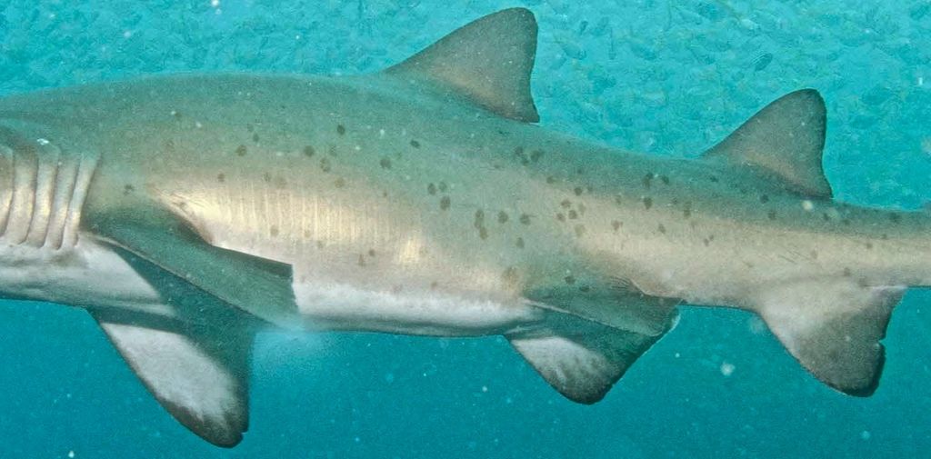 66060efd-1f9f-44ee-bd2a-9c79df5eae23