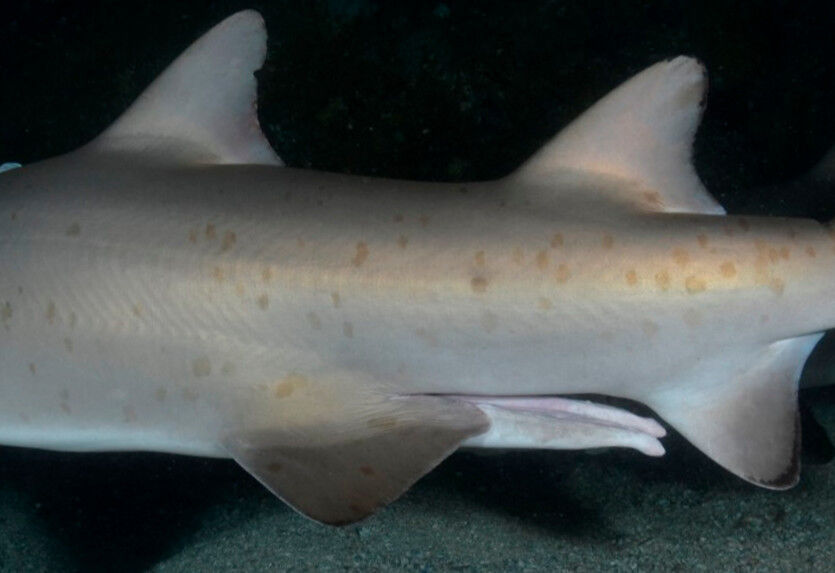 d40a2f61-69ad-43d9-a822-aeb20a2b95d5