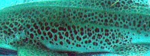 3a0349fb-672b-4029-842c-7262abd4d234