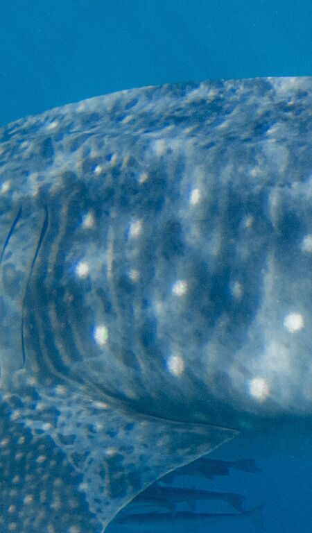 f3a34bdb-2478-40f8-855a-7062bbec0908