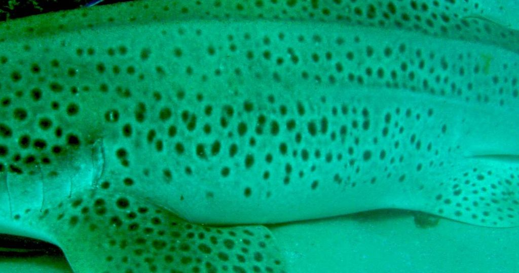 d879d71f-56ad-46de-bf70-90a1ae178ab5