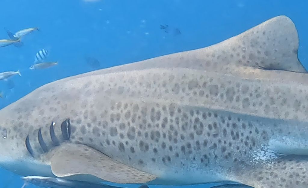 cfb0823e-1745-4129-a686-9b115666000c