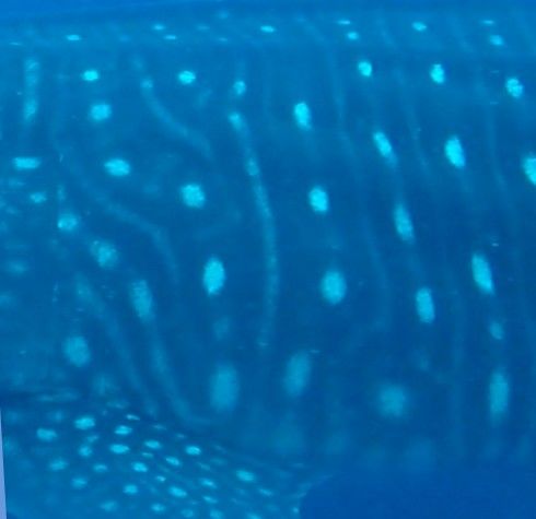 7ed39a61-4f31-4e0f-9c3b-a72af3375f27