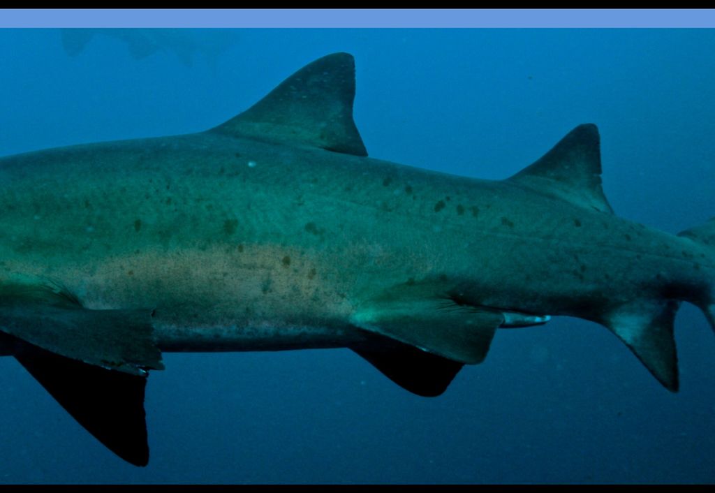 7460ef72-cc5f-4c66-ae28-ec203b7539b2