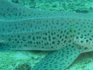 1e37fcf8-142c-4369-951d-8cac2ad7d6ea