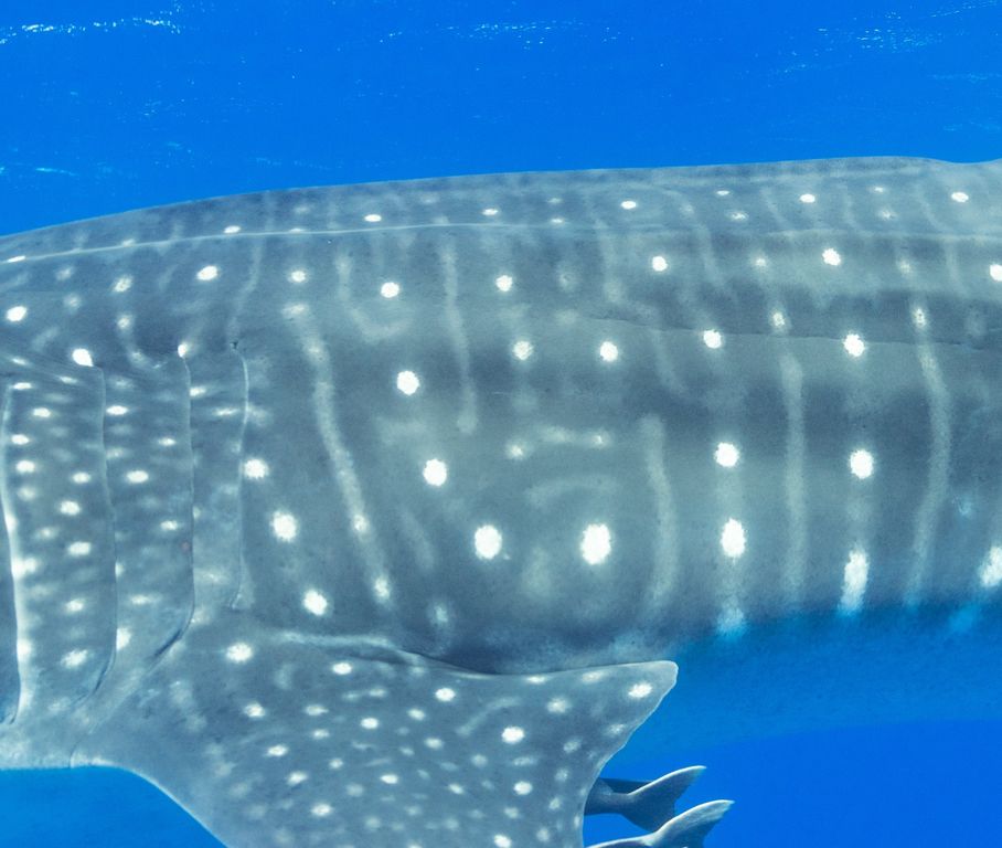 79ea57a1-de48-4c22-b17b-240d8e61fd55