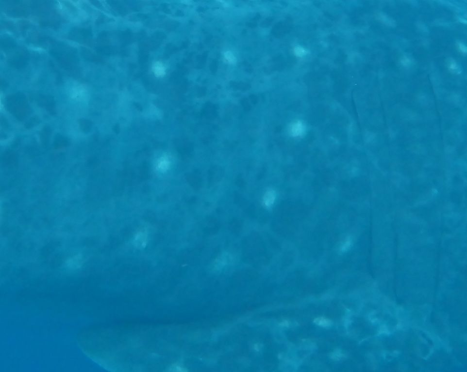 77e0fcdb-c35e-49f0-841d-34ccd626dd41