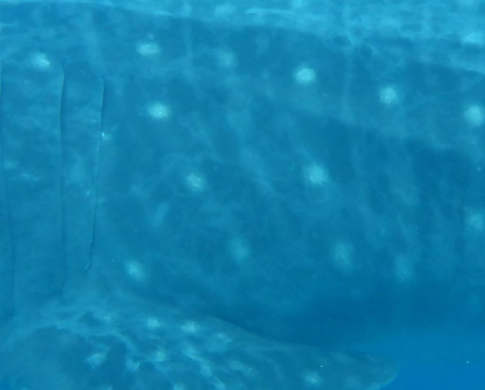 77e0fcdb-c35e-49f0-841d-34ccd626dd41