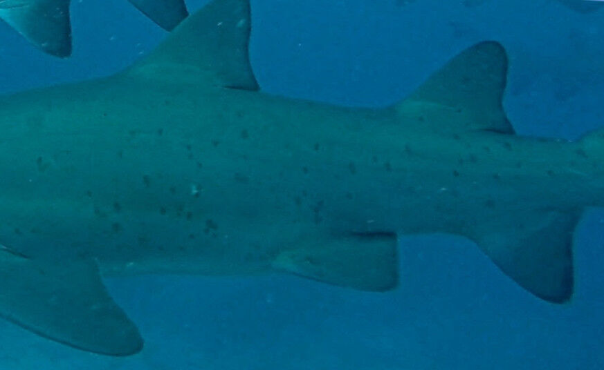 2649ce10-cb73-4676-9c8f-0fc37baf3162