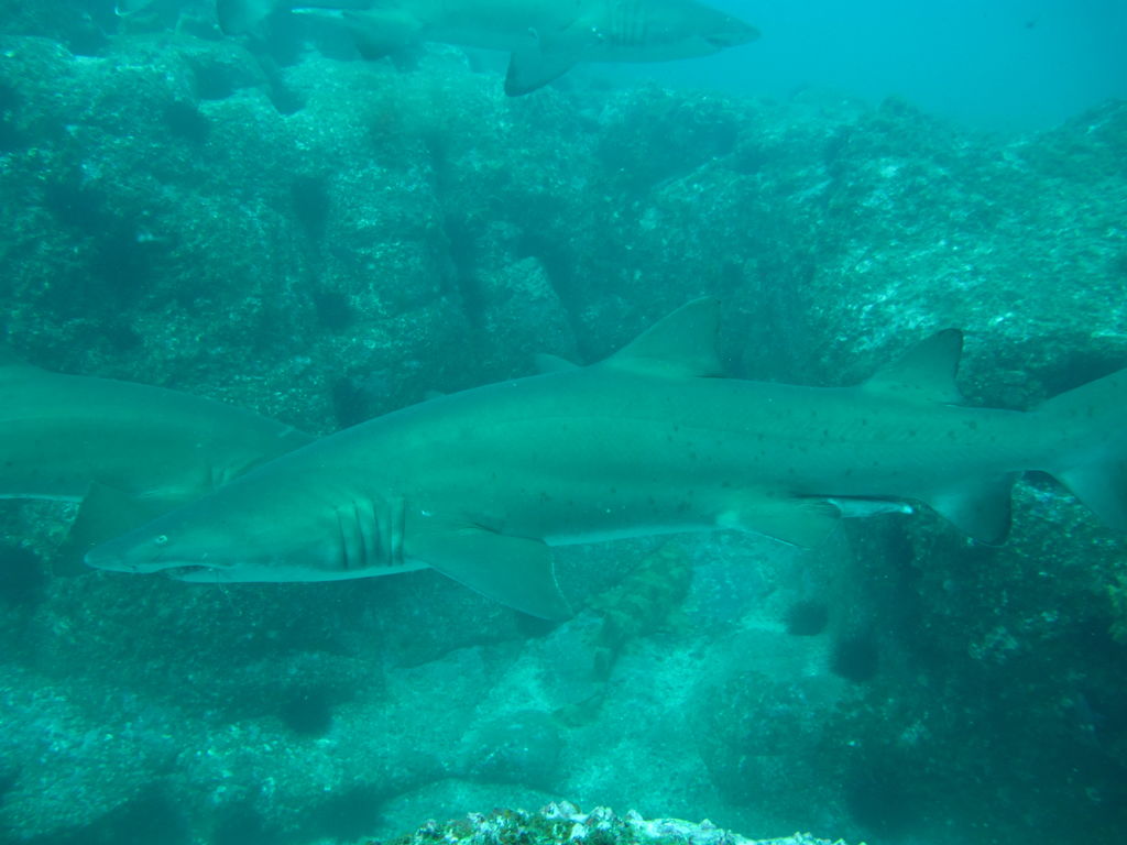 f214f6b5-88c6-4d88-8168-c9c9b857a6c4