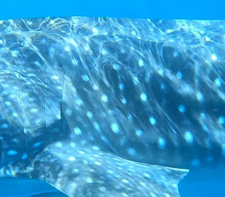 3b8e8505-3f92-40ad-ab43-e1adcd0a2d53