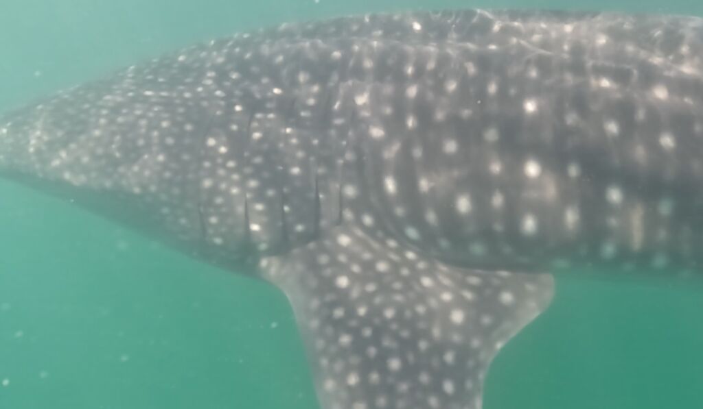 1cacf088-755f-4aac-9457-8215b6781468