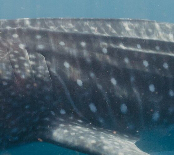 9daddff9-ae70-42d6-9dfa-dd2610761dc3