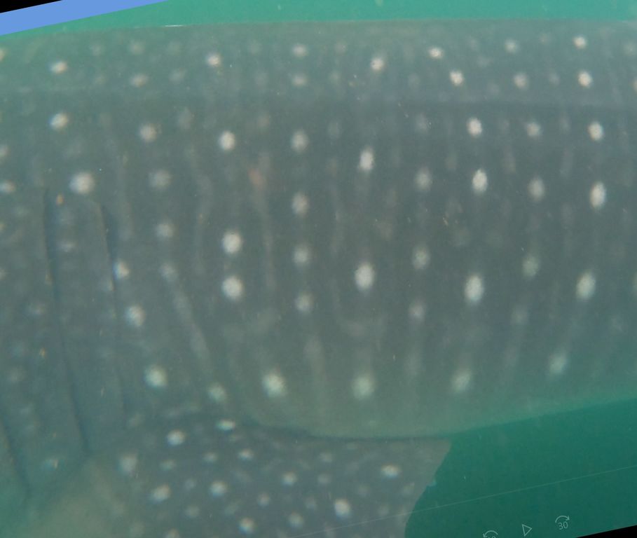 19591ea3-d2ed-42b5-9f14-cd35de736167