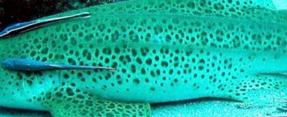 5e7bc46e-889f-4211-b727-e07c48e9f6f9