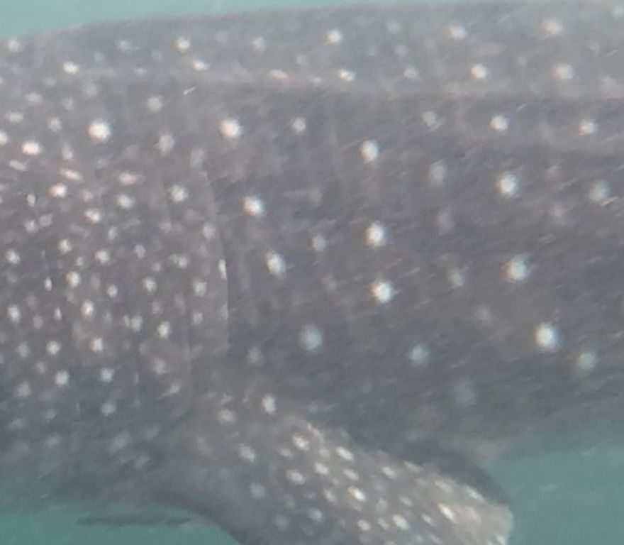 a00aafb3-4aa4-4853-96c0-9936750893b8