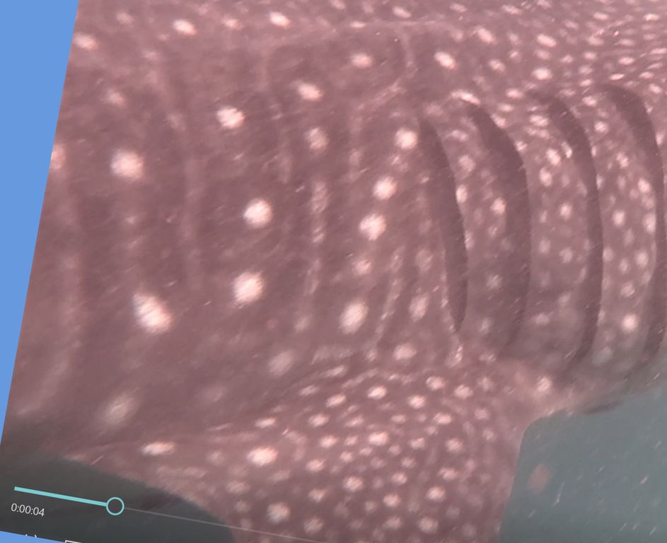 a00aafb3-4aa4-4853-96c0-9936750893b8