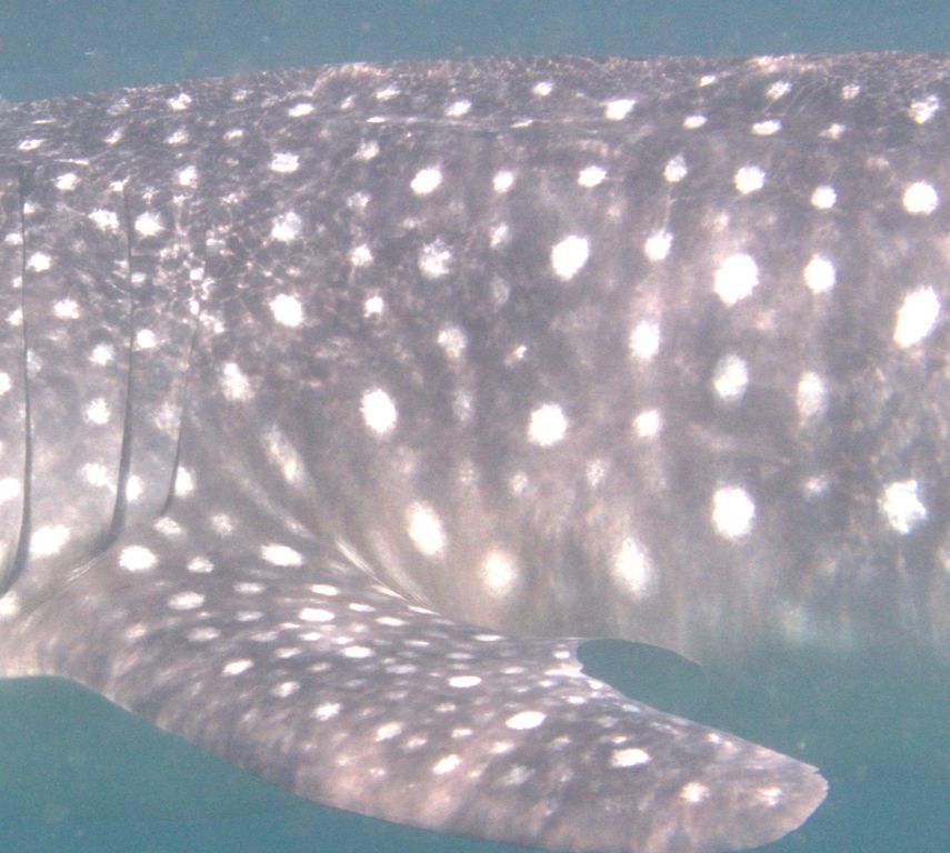 1f7596e4-d0d1-43fb-8c35-d10e7ec5a6ad