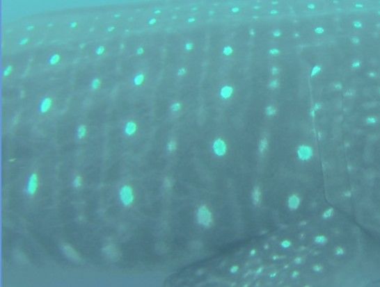 aa43f7ef-9ff3-4aef-8199-46ee0ef0092a