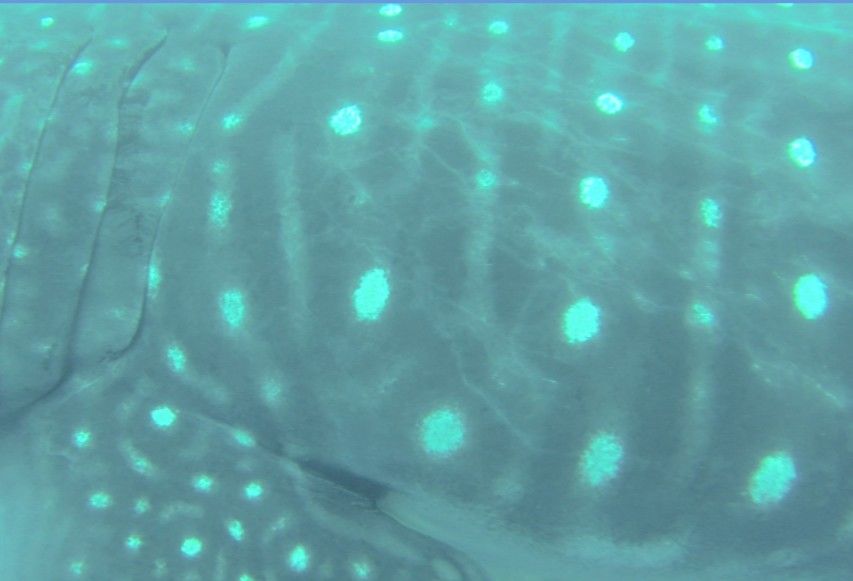 aa43f7ef-9ff3-4aef-8199-46ee0ef0092a