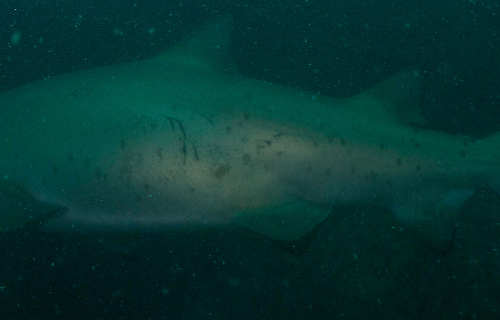 740f8948-196e-4c29-9f1c-ca940ac6950c