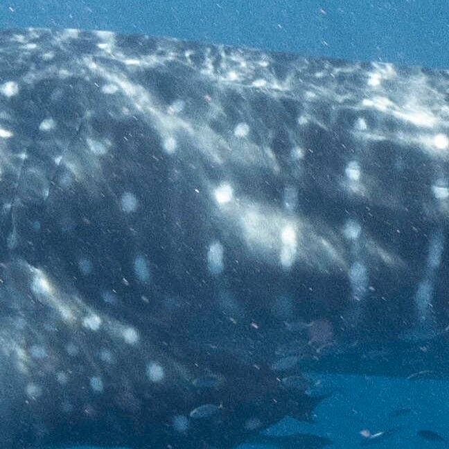 4cde312e-867f-4573-ae4c-f434027b795d