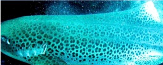 63a01d2e-4dc7-4832-84ad-b4e8831af023