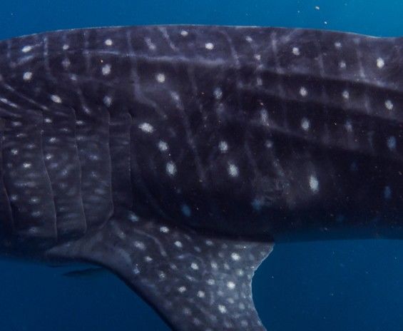 817fb59e-f4e8-4874-b4b8-8b4c7e3aa421