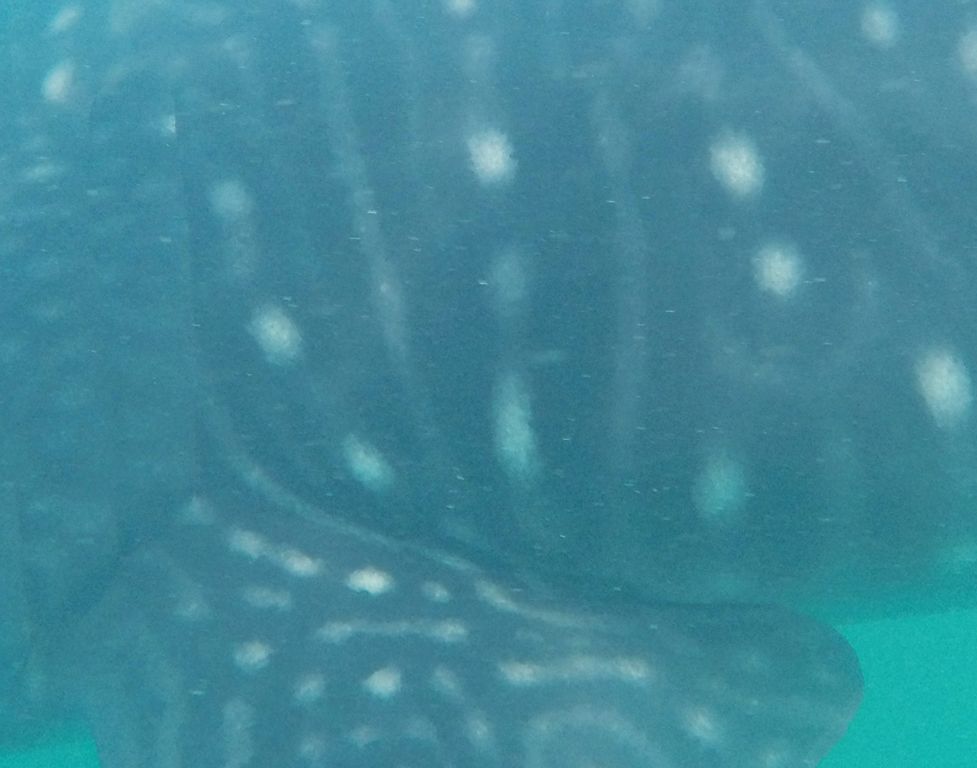 3bf640e9-5b7b-4375-9bb8-58d7d0f6be88