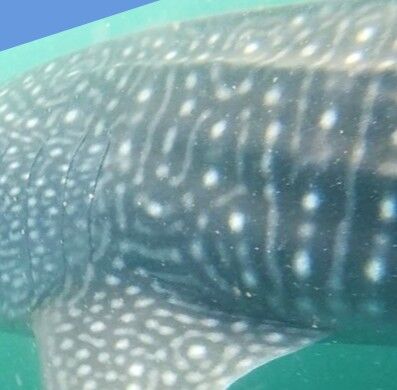 48f2268a-5106-46d8-ba3d-98de2a4331a9