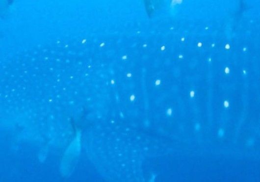 82084b62-c860-4c02-aa96-7c340cad0d85