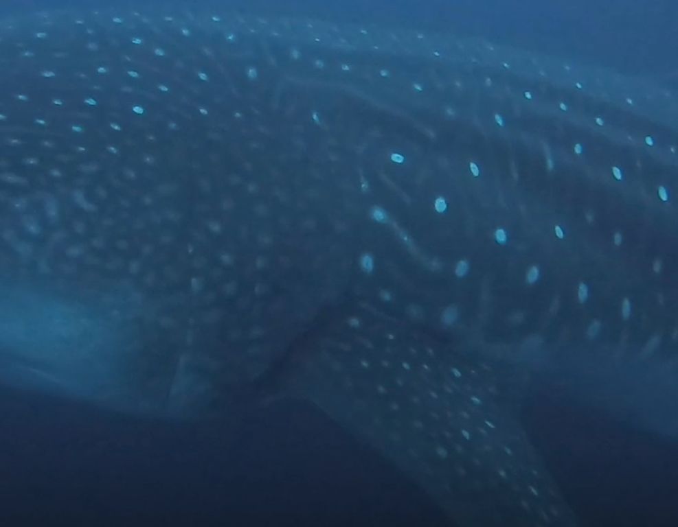 38d9f624-a920-400c-b73c-0126e63399c9