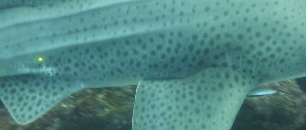 87a53278-afa3-49bc-889d-9f230851373c