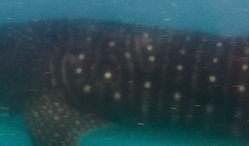 c6f4b626-5fb2-44c4-b69f-ca99eaed46f4