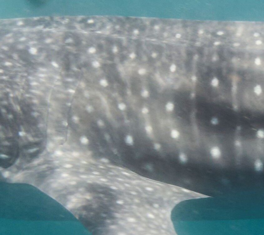 61f5f45b-52e5-4391-ad39-592733969730