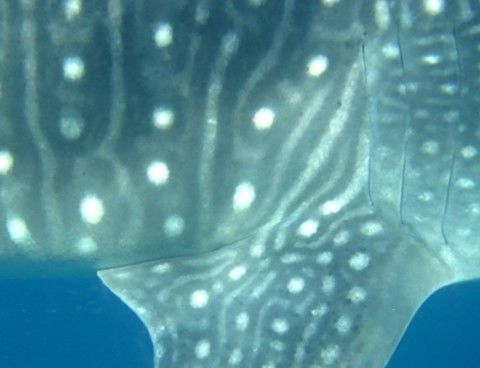 93954211-2564-4eeb-bd01-0b8ca98998d1