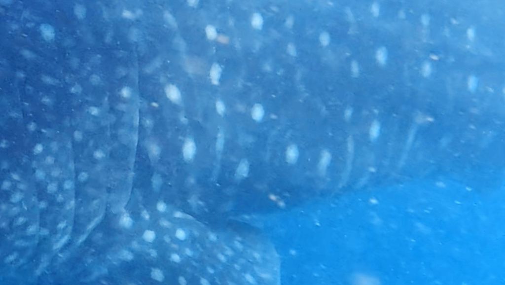 4ab9ea3f-8bad-451a-996e-5ce19791c518