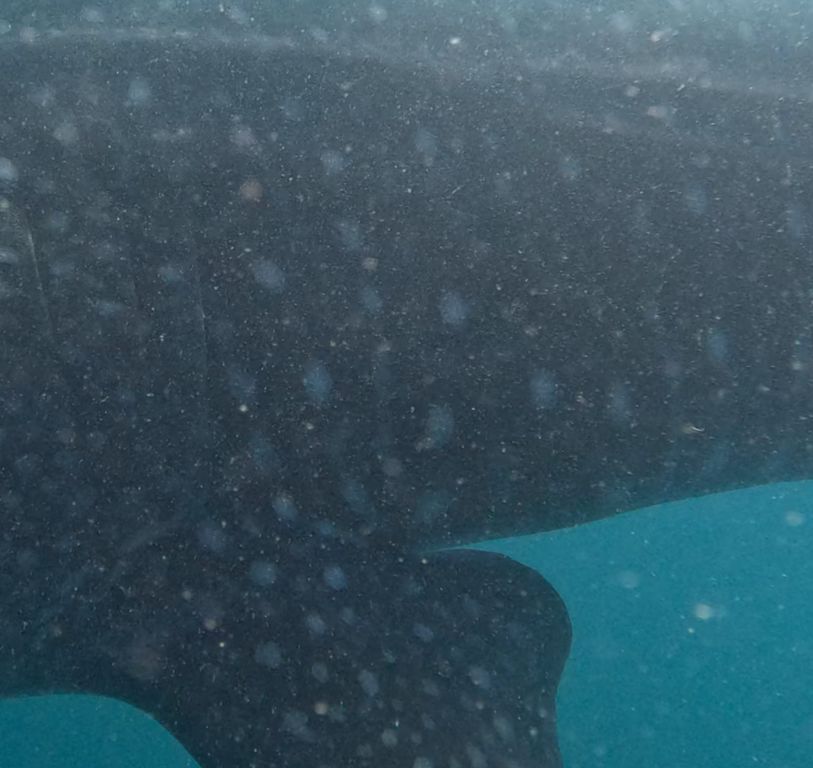 4ab9ea3f-8bad-451a-996e-5ce19791c518