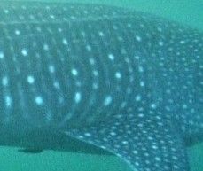 b55abd93-3823-446a-b9ed-61535d4a7341