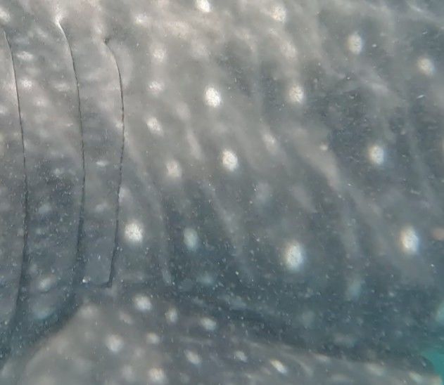 d608eec0-87de-4b9b-b50a-1a0081cd349c