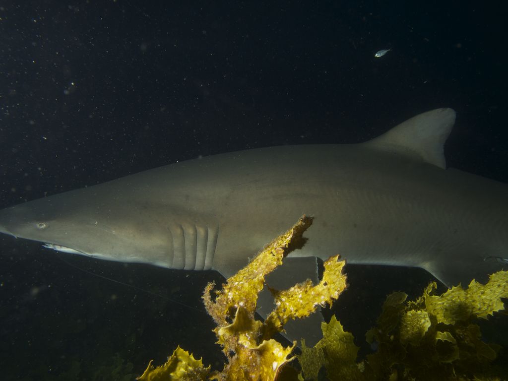 deba7fb3-6e8f-46c9-bba9-f38b64a7871a