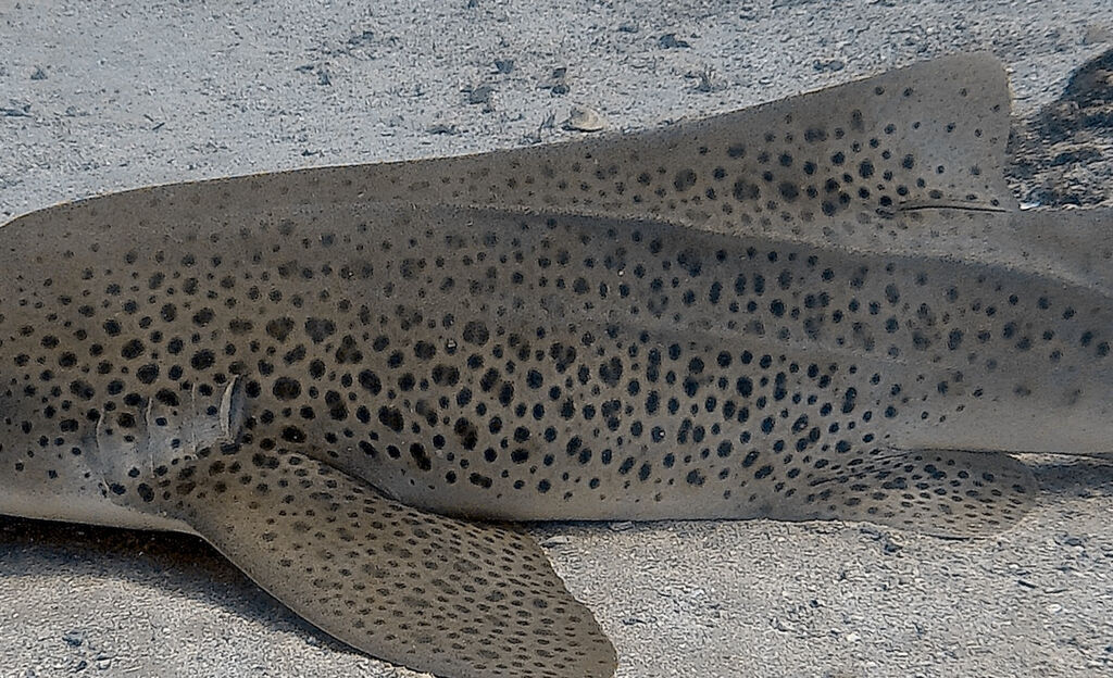 885aea94-ee27-4fbb-a8de-8bf0cacf6023