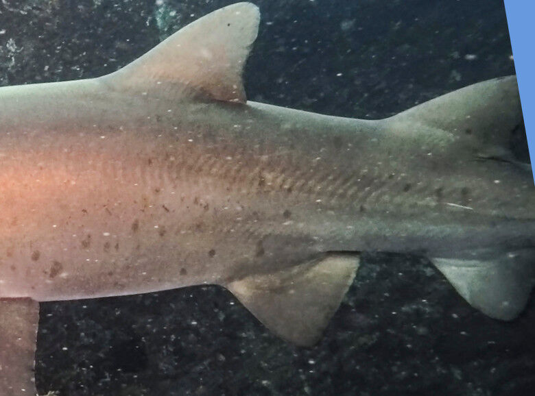 1b8db7f2-a8d7-4f6c-8ccf-98470f4bee2f