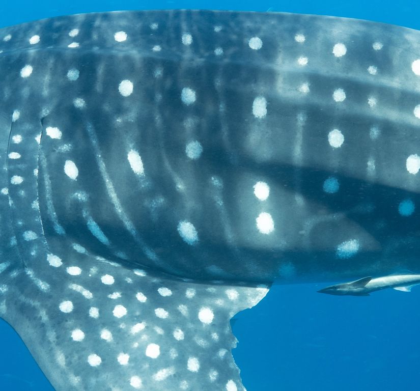 b30e2675-b91c-4ebf-a2da-928ba4c60ad4