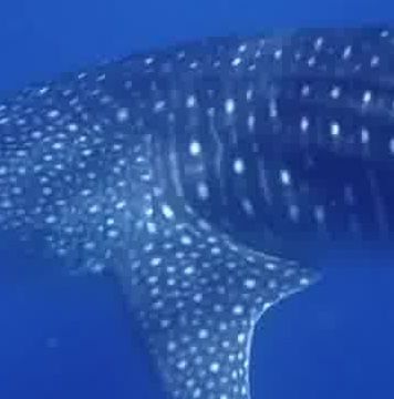 94a9cb45-14eb-4abd-b1bd-88f5e20b3e00