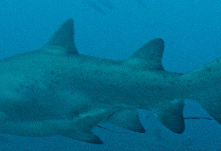 541b5dfc-acf3-428c-9496-f5e48bb8fc8a