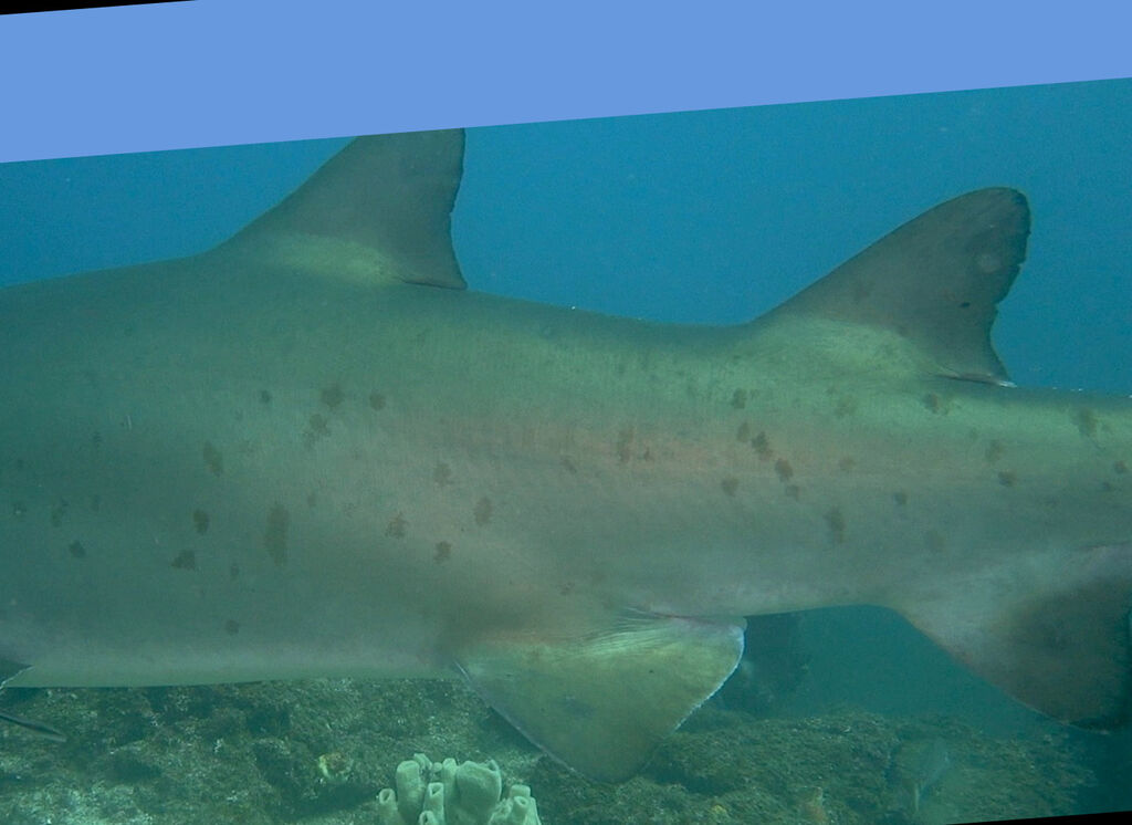 26493e76-125a-4edf-a14e-240648aa960f