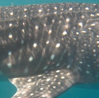 edbeaf5f-664f-408e-8ec8-eda6b0f065f2