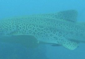 069b2789-a8e8-42c1-b03d-fe9c958cfcd5